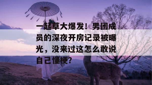 一起草大爆发！男团成员的深夜开房记录被曝光，没来过这怎么敢说自己懂梗？